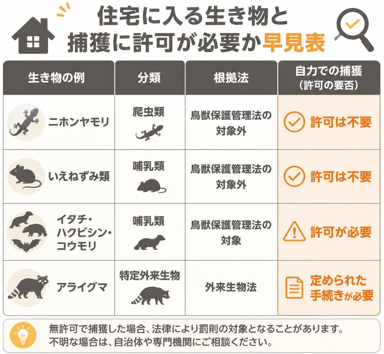 【比較表作成】住宅に入る生き物と捕獲に許可が必要かの早見表。ニホンヤモリ: 分類=爬虫類, 根拠法=鳥獣保護管理法の対象外, 自力での捕獲=許可は不要 / いえねずみ類: 分類=哺乳類, 根拠法=鳥獣保護管理法の対象外, 自力での捕獲=許可は不要 / イタチ・ハクビシン・コウモリ: 分類=哺乳類, 根拠法=鳥獣保護管理法の対象, 自力での捕獲=許可が必要 / アライグマ: 分類=特定外来生物, 根拠法=外来生物法, 自力での捕獲=定められた手続きが必要