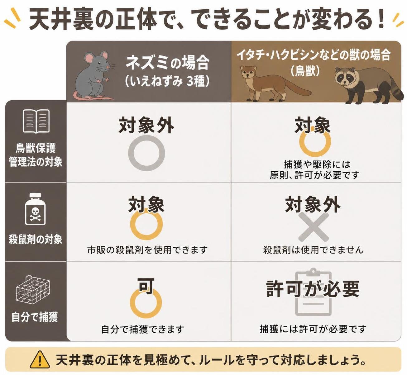 【比較表作成】天井裏にいるのがネズミかどうかで、できることが変わる。いえねずみ3種: 鳥獣保護管理法の対象=対象外, 殺鼠剤の対象=対象, 自分で捕獲=可 / イタチ・ハクビシンなどの獣: 鳥獣保護管理法の対象=対象, 殺鼠剤の対象=対象外, 自分で捕獲=許可が必要