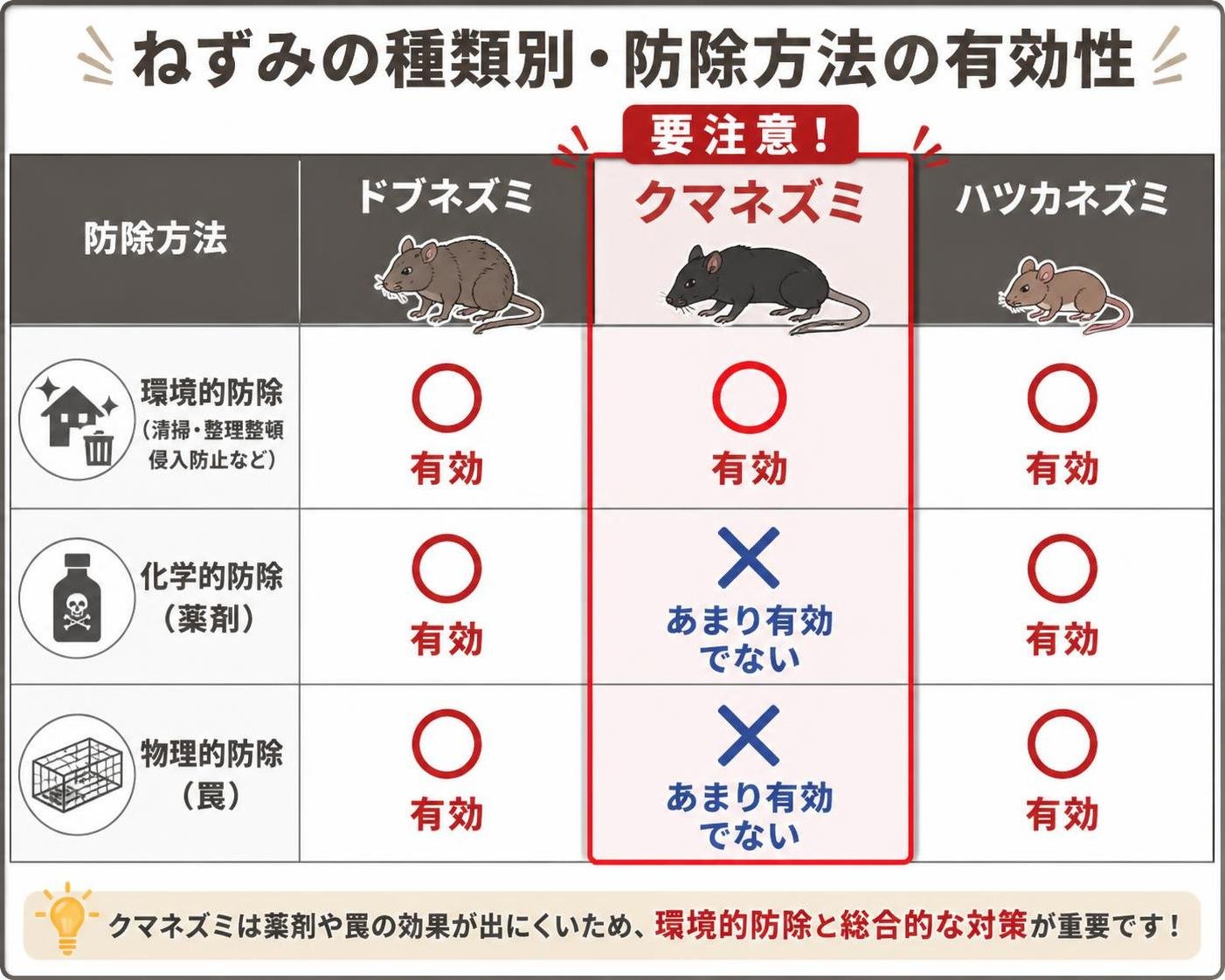 【比較表作成】ねずみの種類別・防除方法の有効性。ドブネズミ: 環境的防除=有効, 化学的防除(薬剤)=有効, 物理的防除(罠)=有効 / クマネズミ: 環境的防除=有効, 化学的防除(薬剤)=あまり有効でない, 物理的防除(罠)=あまり有効でない / ハツカネズミ: 環境的防除=有効, 化学的防除(薬剤)=有効, 物理的防除(罠)=有効。クマネズミを強調