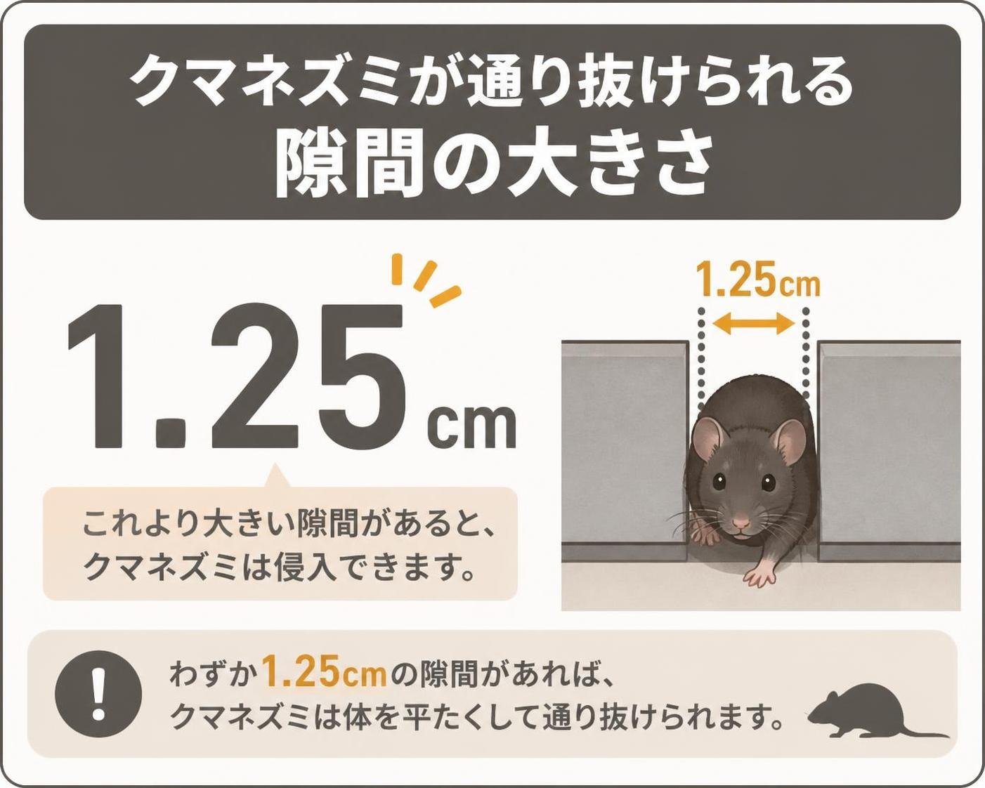 【数字カード作成】クマネズミが通り抜けられる隙間の大きさ。1.25cm