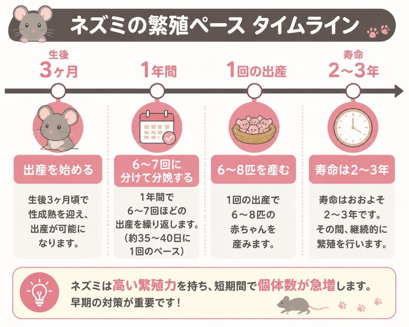 【タイムライン作成】ネズミの繁殖ペース。生後3ヶ月:出産を始める / 1年間:6〜7回に分けて分娩する / 1回の出産:6〜8匹を産む / 寿命:2〜3年