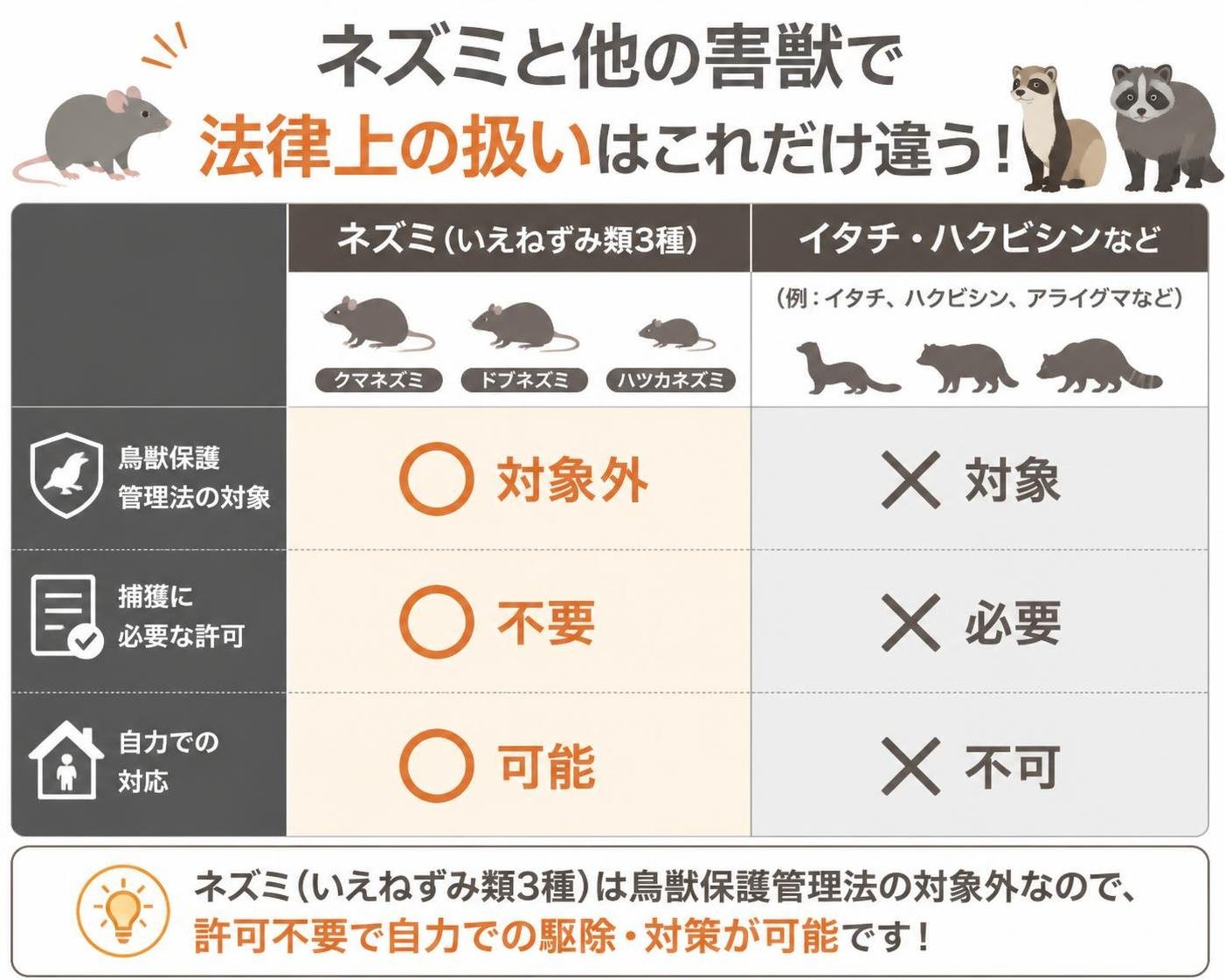 【比較表作成】ネズミと他の害獣で法律上の扱いはこれだけ違う。いえねずみ類3種: 鳥獣保護管理法=対象外, 捕獲許可=不要, 自力対応=可能 / イタチ・ハクビシンなど: 鳥獣保護管理法=対象, 捕獲許可=必要, 自力対応=不可