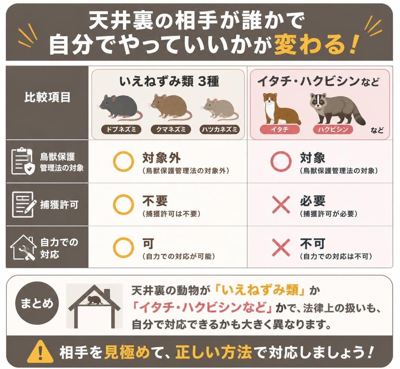 【比較表作成】天井裏の相手が誰かで自分でやっていいかが変わる。いえねずみ類3種: 鳥獣保護管理法=対象外, 捕獲許可=不要, 自力対応=可 / イタチ・ハクビシンなど: 鳥獣保護管理法=対象, 捕獲許可=必要, 自力対応=不可