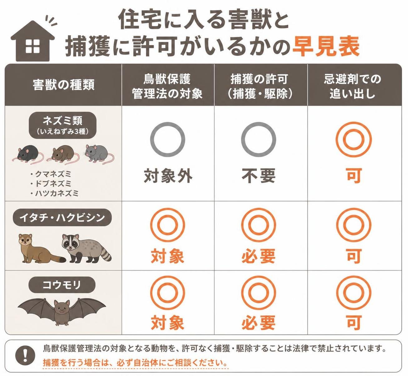 【比較表作成】住宅に入る害獣と捕獲に許可がいるかの早見表。ネズミ類(いえねずみ3種): 鳥獣保護管理法=対象外, 捕獲の許可=不要, 忌避剤での追い出し=可 / イタチ・ハクビシン: 鳥獣保護管理法=対象, 捕獲の許可=必要, 忌避剤での追い出し=可 / コウモリ: 鳥獣保護管理法=対象, 捕獲の許可=必要, 忌避剤での追い出し=可