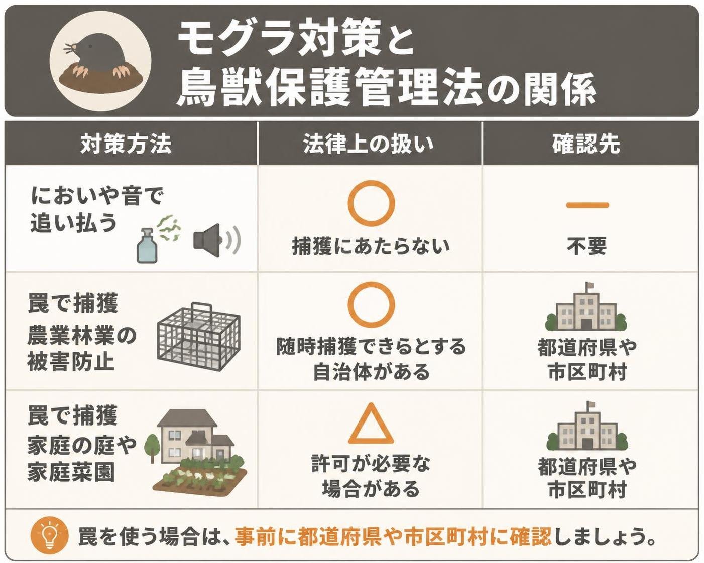 【比較表作成】モグラ対策と鳥獣保護管理法の関係。においや音で追い払う: 法律上の扱い=捕獲にあたらない, 確認先=不要 / 罠で捕獲 農業林業の被害防止: 法律上の扱い=随時捕獲できるとする自治体がある, 確認先=都道府県や市区町村 / 罠で捕獲 家庭の庭や家庭菜園: 法律上の扱い=許可が必要な場合がある, 確認先=都道府県や市区町村