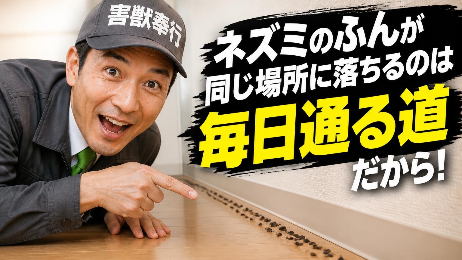 【結論】ネズミのふんが同じ場所に落ちるのは「毎日通る道」だから