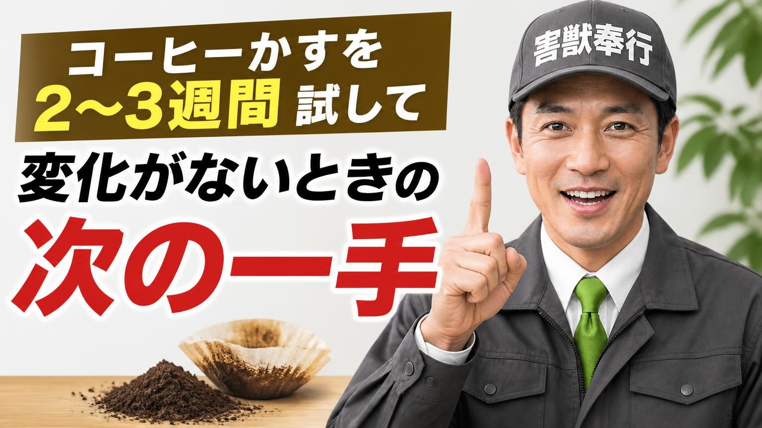 コーヒーかすを2〜3週間試して変化がないときの、次の一手
