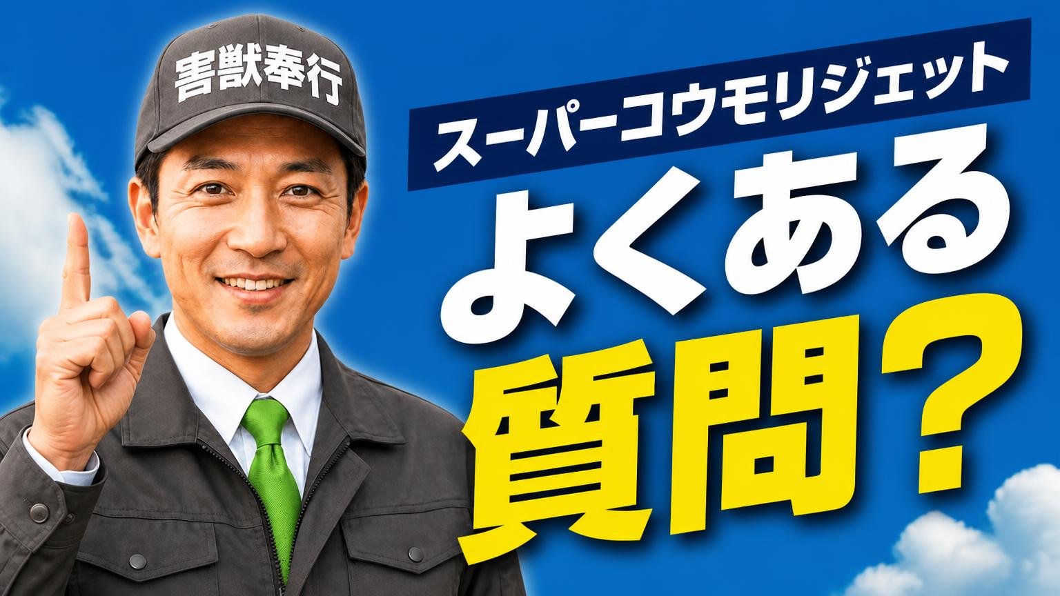 スーパーコウモリジェットについてよくある質問