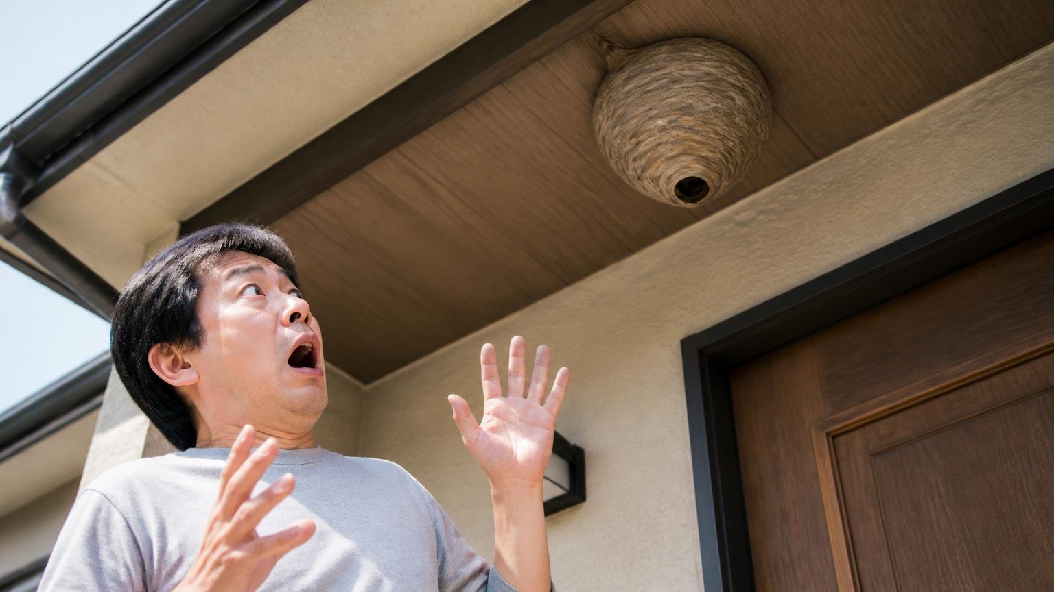 ネズミ以外だった場合に話が変わる理由。住宅の軒下を見上げる玄関前で男性1人が驚く表情