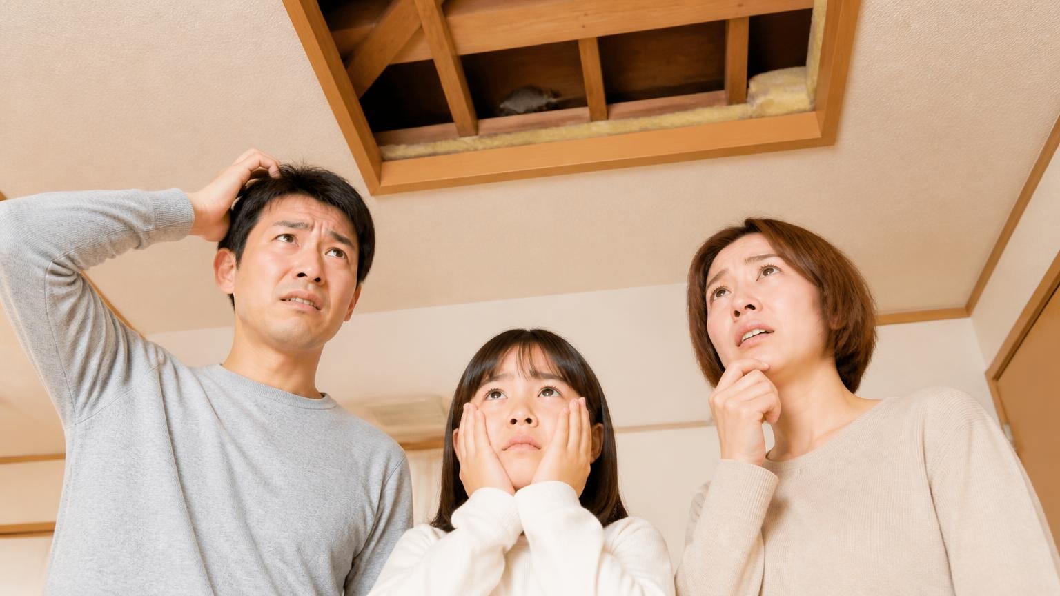 食べたのにまた音がする再発パターン。木造戸建ての天井裏を見上げる家族3人が困った表情