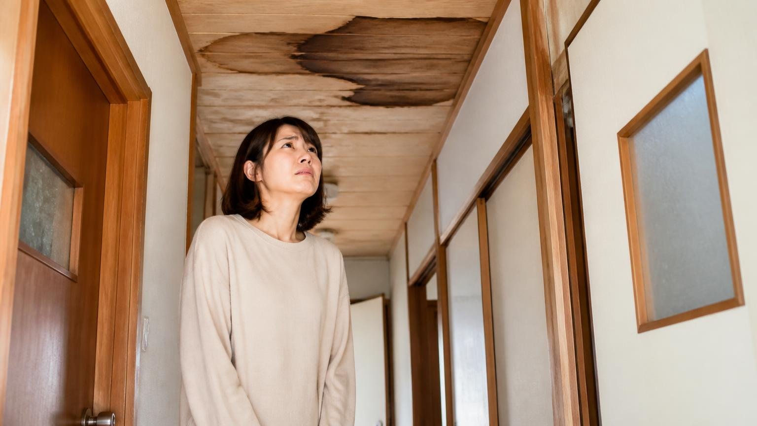 数ヶ月効いたのに戻ってきた｜古い木造戸建ての廊下で天井を見上げる女性1人が肩を落とす