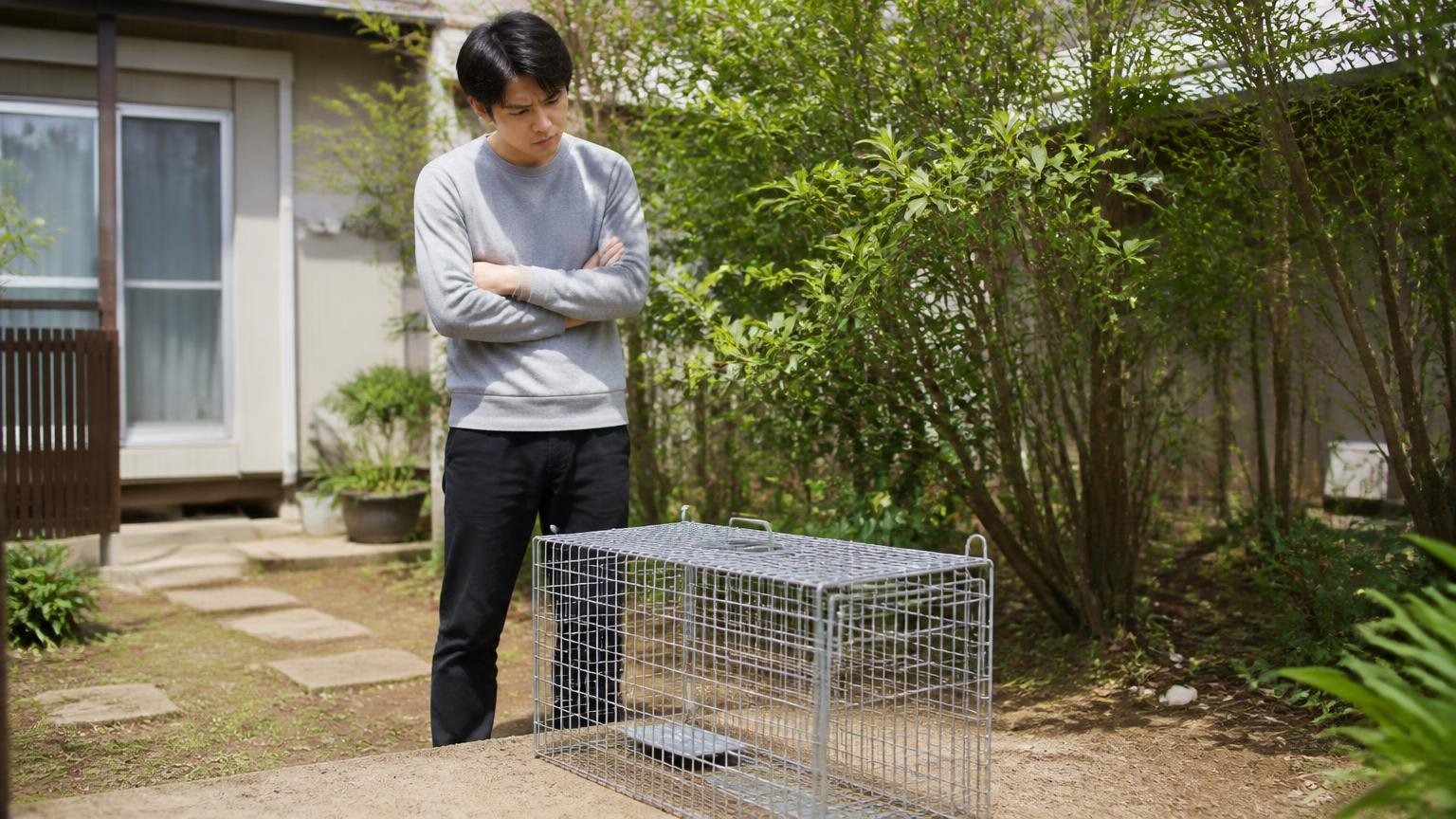 自分で捕まえていいのか法律を先に確認する 木造戸建ての庭で捕獲カゴを前に腕組みする家の外まわり 20代男性1人 悩んだ表情で見下ろす