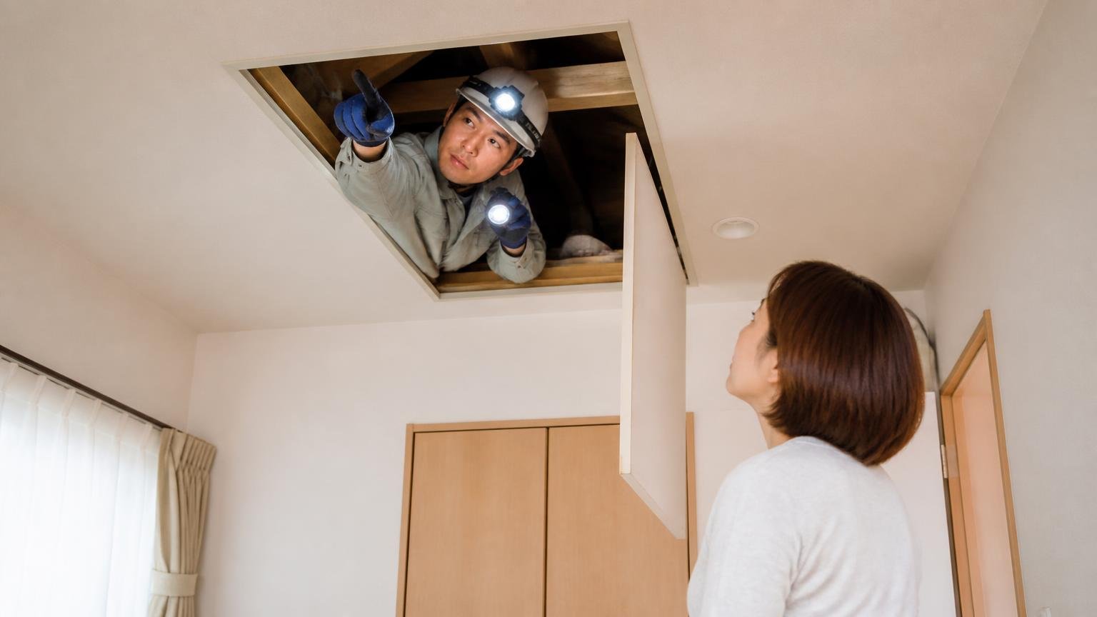 現地調査で分かること。木造戸建ての天井裏の点検口で作業員1人が中を照らし住人に指し示す